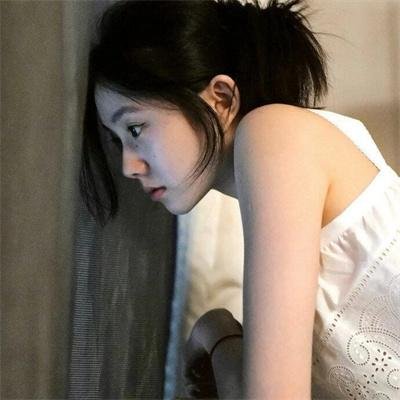 鼩鼱的巢穴