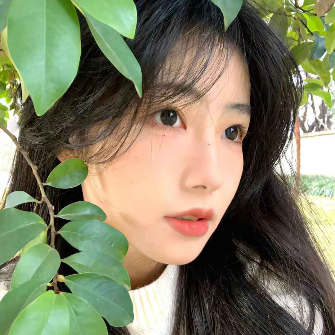 孤独的野兽